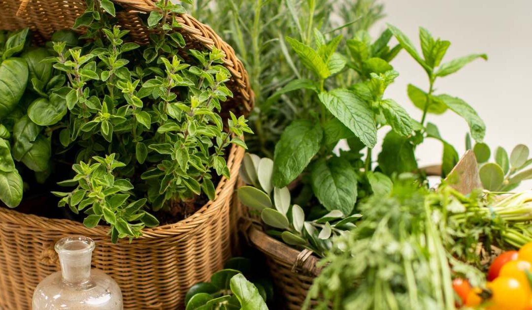 Le erbe aromatiche, tocco speciale per ogni piatto